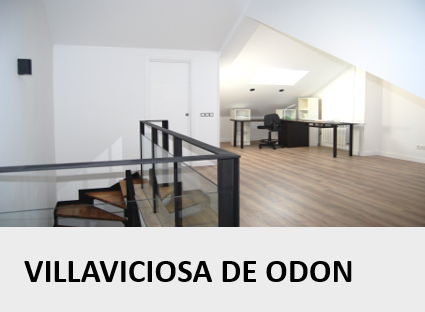 VILLAVICIOSA DE ODON